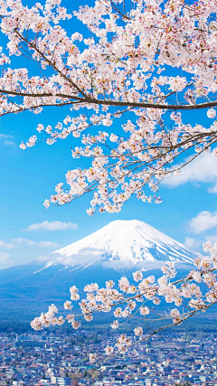 呵呵：）采集到风景