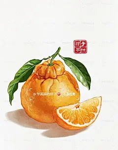 ipad手绘~丑橘_1_学画画的桃子_来自小红书网页版