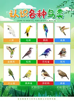认识各种鸟类  - 源文件下载【酷图网】动物大全,动物大全名称,动物哪些名称,动物有哪些,动物名称大图,动物拼音,动物海报,动物展板,动物贴画,动物介绍,动物识字,动物看图识字,少儿识字,看画认字,儿童识字,儿童看图识字,儿童认画,儿童书,少儿认图识字,少儿启蒙画,看图识动物,少儿识字书,少儿识字卡片,少儿识字画,