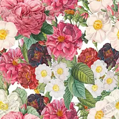 无缝花纹 【酷图网】无缝花纹,无缝底纹,无缝印花,无缝背景,无缝壁纸,无缝雕花,无缝拼接,花纹,印花,织物,纺织,包装,面料,布料,花布,瓷砖,墙纸,素材,四方连续,印花花型,几何图案,装饰图案,印花图案,时尚花纹,无缝图案,背景花纹,花朵,花卉,品牌宣传,包装设计,海报,服装,邀请函,婚礼,白牡丹,红牡丹,黄牡丹
