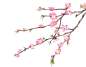 a30fa7445252592922ed54c577c8bc7933686ed71d6e2-wq6qor_fw658webp