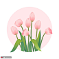 郁金香花粉色花朵彩色手绘花卉插画 植物花卉 其他植物_3163328086