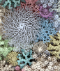 艺术家将人类微生物组重新想象成一个错综复杂的纸质珊瑚礁