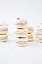 Lavender Coconut Macarons 
