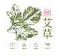 bfgfd