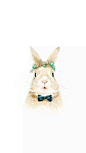 兔子 可爱 白底 简洁 手机壁纸 锁屏壁纸
