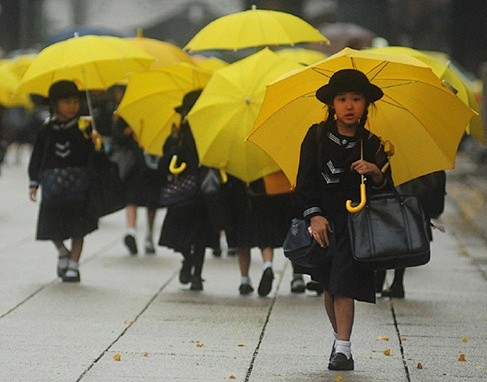 与中国不同，日本的小学生都是自己坐车或走...