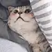 纠结症来了