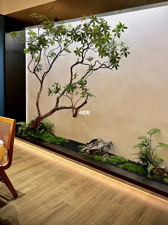 打造雅致高颜值室内空间绿植造景-花瓣网