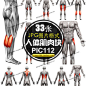 PIC112女性男性人体肌肉组织示意图人体结构医学研究JPG图片素材-淘宝网