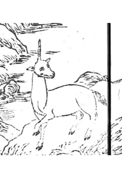 山海經-兕：兕在舜葬東，湘水南，其狀如牛，蒼黑，一角。蒼梧之山，帝舜葬于陽，帝丹朱葬于陰。