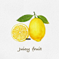 Juicy fruit看见水果系列～ | 小玉米子