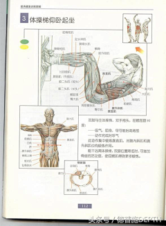 细嚼慢咽采集到养生保健