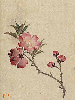 QISUE采集到Traditional Chinese painting