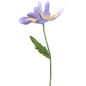 花5