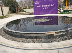 叶剑cele采集到自照的样