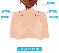 阿啦蕾采集到健康