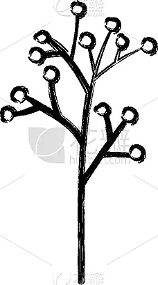 自然,枝,图标,种子,季节,春天,纺织品,可爱的,华丽的,卷发