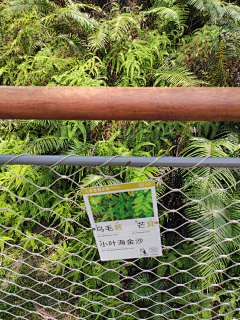GUONENG采集到景观-项目考察-现状照片
