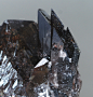 themineralogist:

Axinite from Russia (by Minservice)
