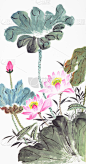 抽象荷花-中国传统绘画