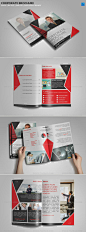 8 Page Corporate Bifold Brochure 企业手册设计模板源文件素材-淘宝网