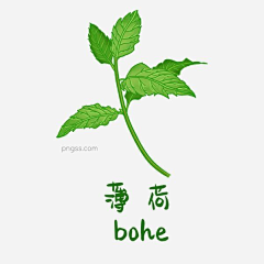 南港柚茶i采集到牙膏