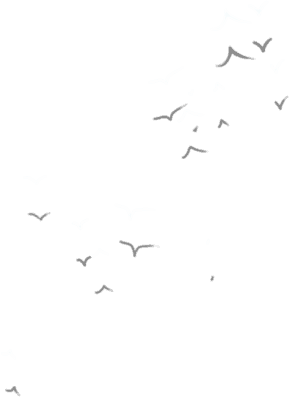 bird.png (289×397)