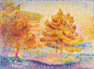 89dd1cc6ly1h5o1t3c4m9j20zk0q8ws9.jpg,105x105 像素
