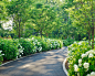 Outdoor Design Ideas, Remodels & Photos