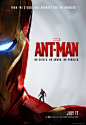 电影蚁人(Ant-Man)宣传海报欣赏(2)