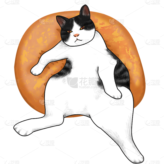 手绘猫咪插画