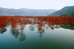 成绩突出！黄岩这个集体获省级通报表扬