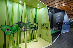 DZY宇采集到Z-展项