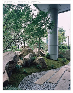 围观道长采集到置石