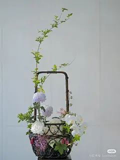 Camera_XHS_17471893440231040g2sg31heoj68f3u7g5nhetk10824cvi2p3t8