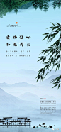 图片 (35)