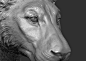 3D lion zbrush https://static.turbosquid.com/Preview/001226/673/0G/3D-lion-zbrush_D.jpg