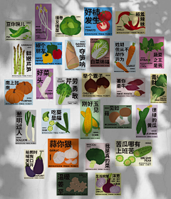薇妮-小吴采集到蔬菜海报