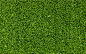 General 1920x1200 grass