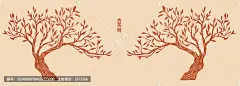 古茶树