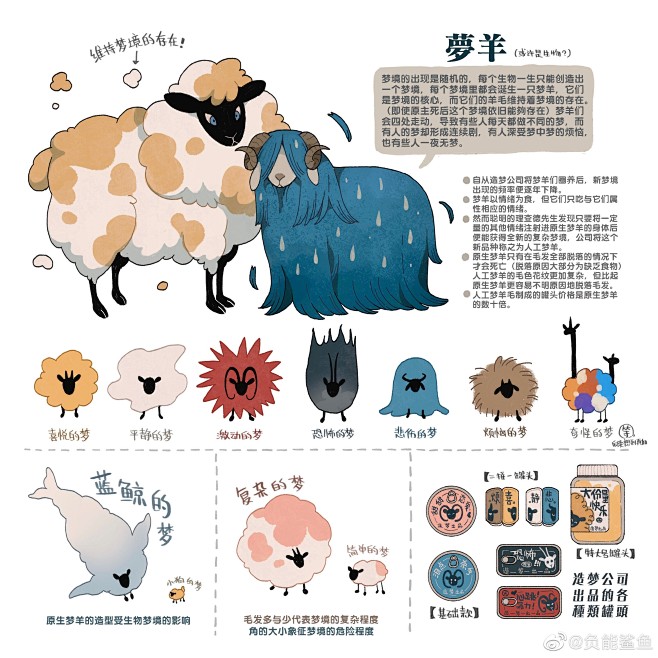 负能鲨鱼的照片 - 微相册