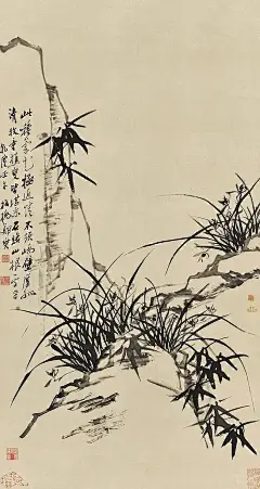 此种兰花极近情，不须峤壁厉孤清。牧童樵叟皆堪采，石路山根一字平。
（清 郑燮 兰石）