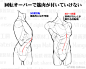 男生/女生人体动态、躯干 、骨骼、肌肉参考素材，画人体必备