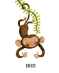 Monkey Illustration