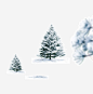 有雪的松树免抠素材_新图网 https://ixintu.com 雪 松树 绿色 圣诞节