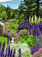 Evergreen Mountain Retreat