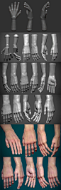 Zbrush Hand modelling complete process: 