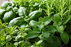 传统中医草药草本