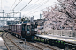 场景 摄影素材 日本 火车 樱花
From_Kaitaro Kobayashi